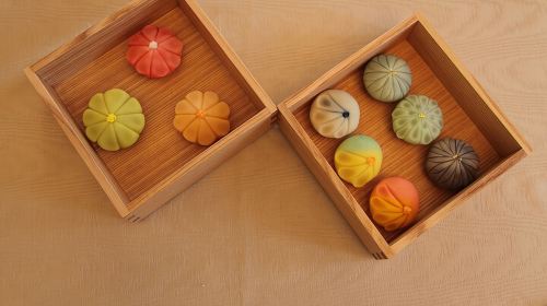 Make Traditional Nerikiri Sweets & Matcha experience in Shibuya