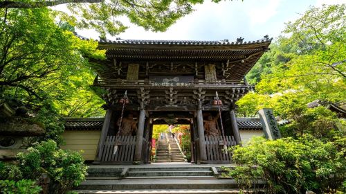 1-day peace tour in Hiroshima: Atomic bomb dome + peace memorial park + Miyajima & Itsukushima jinja