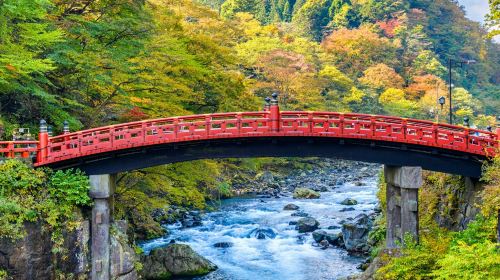 Nikkō Tōshōgū & Kegon Waterfall: Full-Day Guided Tour from Tokyo Day Tours