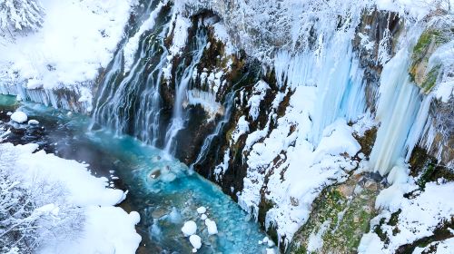 Hokkaido Asahiyama Zoo Day Tour: Shirahige Waterfall + Instagram-famous Tree Visit|Optional set lunch packages Day Tours