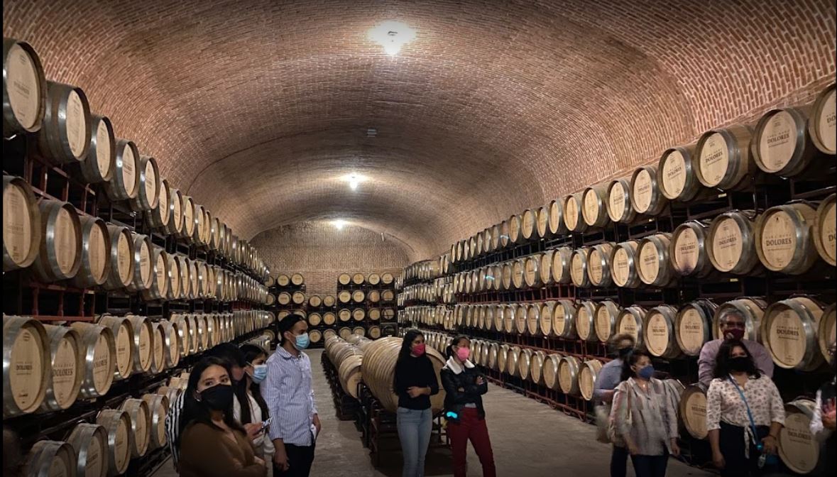 Private Tour to Freixenet Wine Cellar & Peña de Bernal