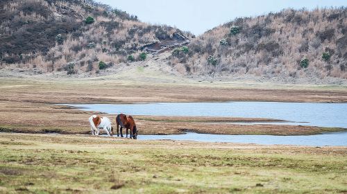 Kyushu: Aso Vocano, Grassland,Onsen and Aso shrine 1-Day Tour Day Tours