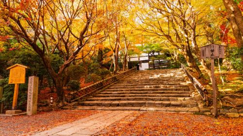 Amanohashidate + Ine Funaya 1-Day Tour [9-Person Group] with Cruise + Cable Car Ride|Optional Wisdom Hot Spring Day Tours