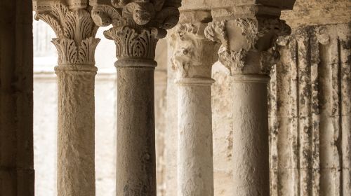 Abbaye de Montmajour