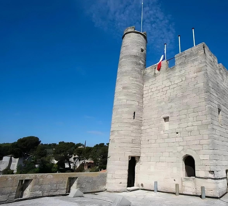 Avignon City Pass: Tourist sites in Avignon and Villeneuve Lez Avignon