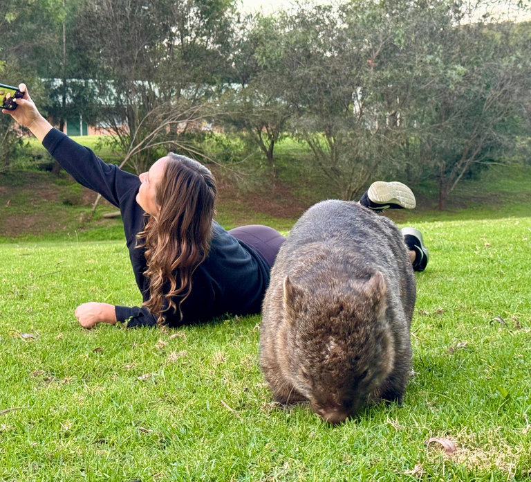 WILD Wombats and Kangaroo Experience, All Inclusive, Sydney