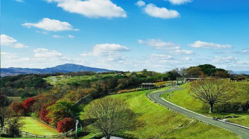 one-day tour of Kyushu Zoo in Oita,Ghibli Town & Animal Interaction Tour