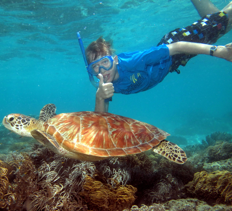 Cairns: Ocean Spirit Great Barrier Reef Full Day Tour