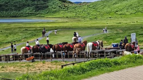 Kyushu Day Tour: Takachiho Gorge Boat Ride, Aso Volcano & Kusasenri (Optional Cruise & Lunch)
