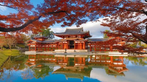Nara Park + Uji relaxing cultural healing one-day tour [4-9 person premium small group with optional pick-up]