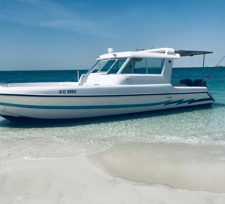 Abu Dhabi: 4-Hour Guided Cruise & Island Hopping