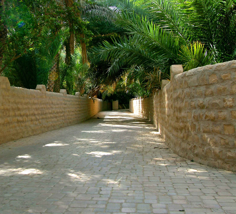 From Dubai: Al Ain Garden City Full-Day Sightseeing Tour