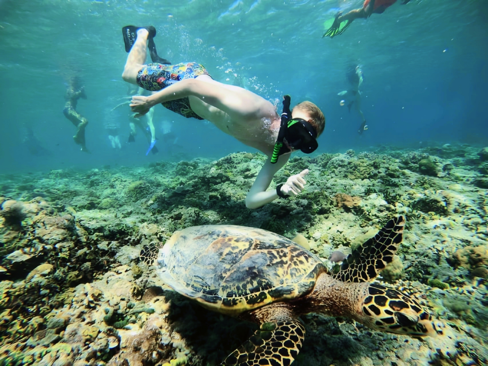 Half-Day Private Guided Snorkeling Tour in Gili Islands Lombok