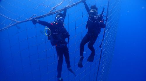 1-hour certified scuba diving in Okinawa, Japan