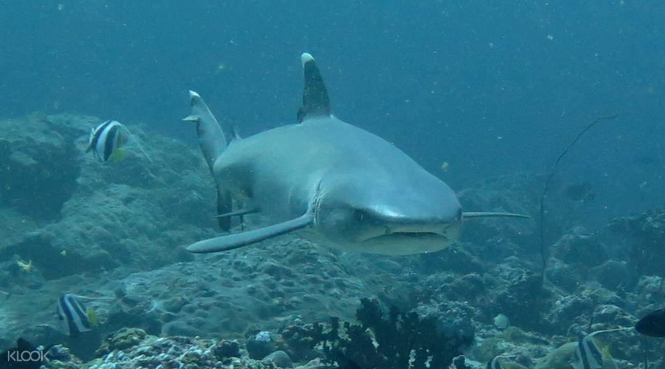 Tour Image 4