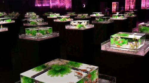 ART AQUARIUM MUSEUM