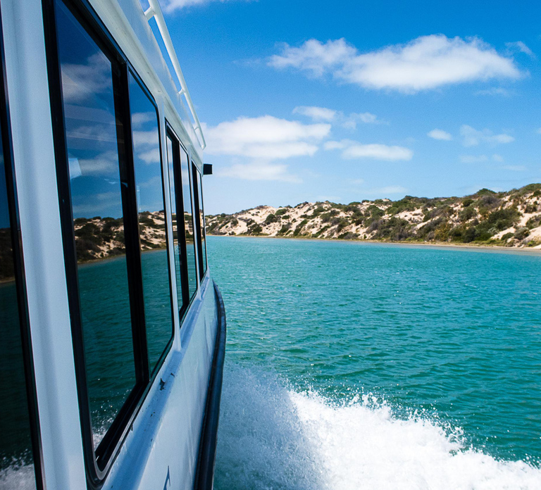 From Goolwa: Half-Day Coorong Experience