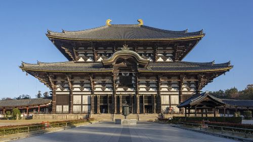 Nara Tōdai-ji, Mount Wakakusa, Kohfukuji Temple and Kasugataisha Shrine sightseeing bus