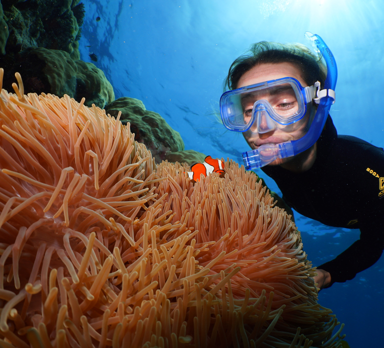 Port Douglas: Silversonic Great Barrier Reef Dive & Snorkel