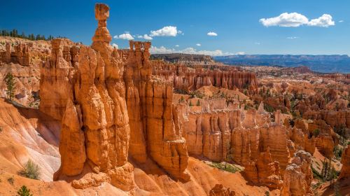 Bryce Canyon and Zion National Parks Day Tour From Las Vegas with Lunch