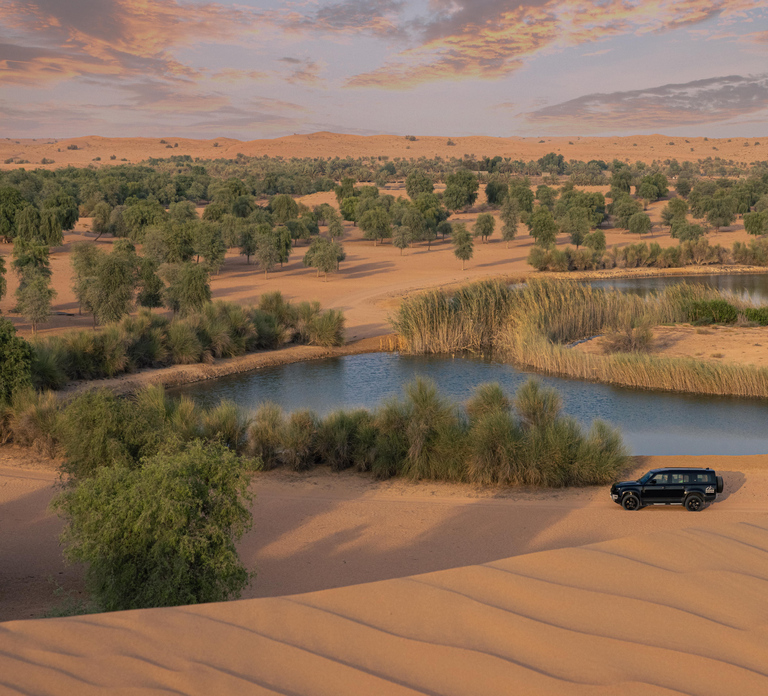 Dubai: Private Falconry, Desert Safari & Platinum Breakfast