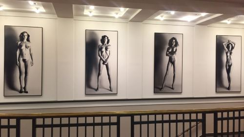 Helmut Newton Foundation