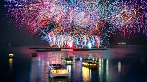 Tokyo Atami Sea Fireworks Tour Day Tours