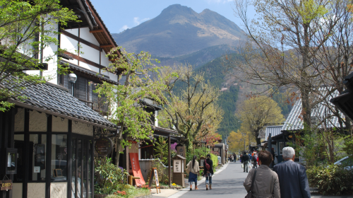1-day tour to Kyushu Wildlife Park African Safari – Beppu Umi Jigoku