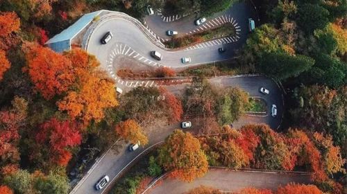 Nikko Toshogu Shrine Day Tours