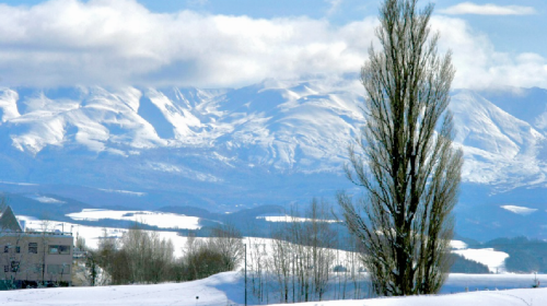 Hokkaido Day Tours