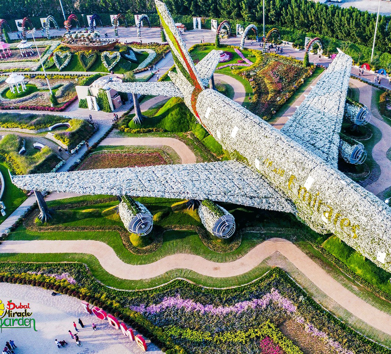 Dubai: Miracle Garden Entry Ticket with Hotel Transfer