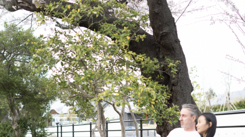 Trip Moments in Sendai, Japan[Local professional photographer for 1-hour photo shoot · Photos delivered within 7 days · 100+ unedited photos included]