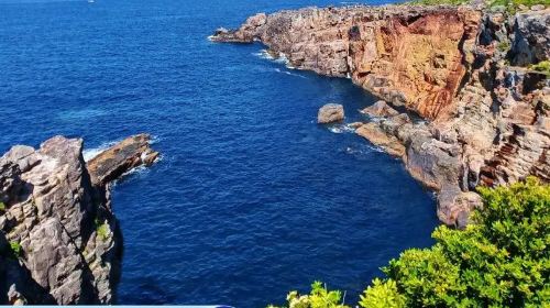 Sightseeing Group Tour: Wakayama Cat Stationmaster, Shirahama Onsen, Sandanbeki Cliffs Kansai, Osaka day tour