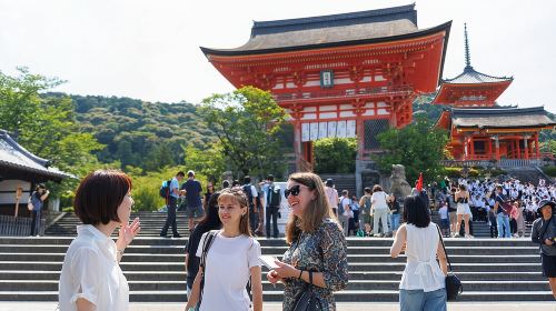 Kiyomizu Temple and Backstreets of Gion, Half Day Group Tour Day Tours