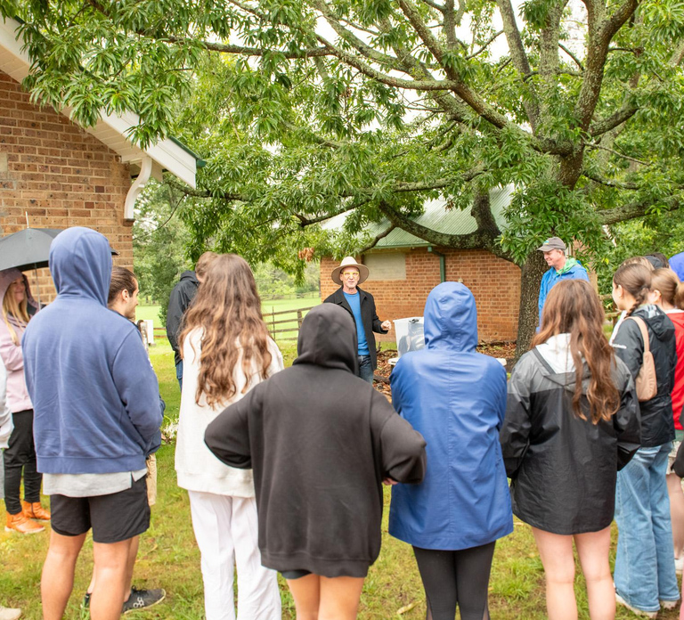 Bowral Honey Farm Tour, Honey Tasting & morning Tea