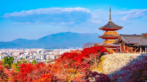 Kyoto & Nara Classic Day Tour with Friendly Deer