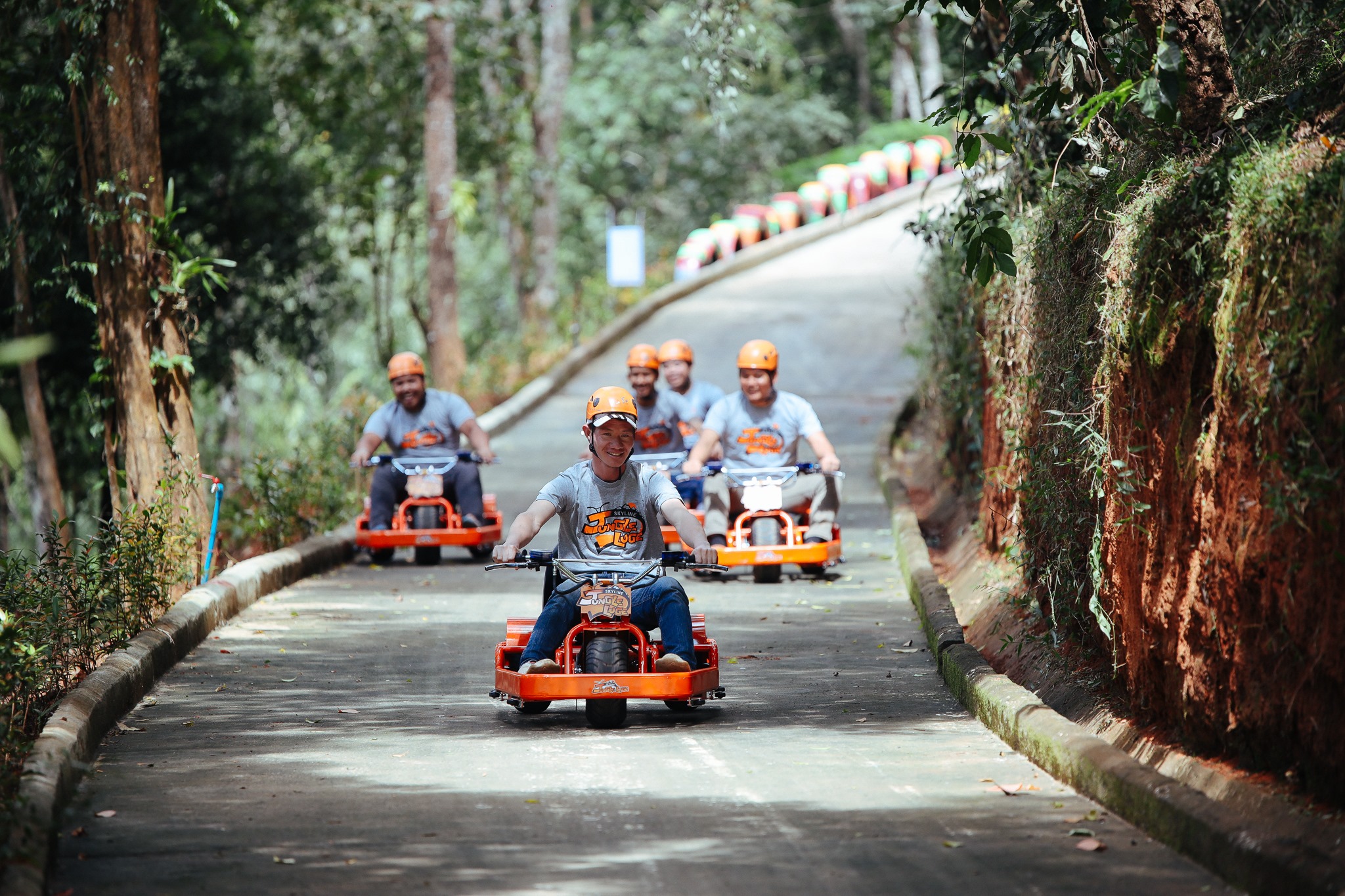 Skyline Jungle Luge