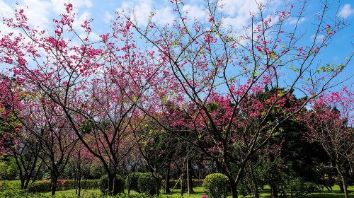 Private Car: 8 Hour Highly Customized Taipei City Exploration! Day Tours