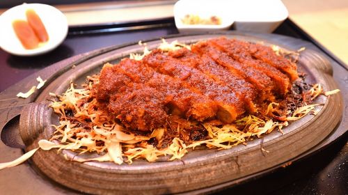 Nagoya Highlight Tour guided by a friendly local Day Tours
