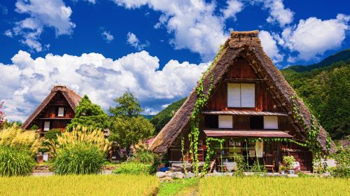 1-Day Tour to Hida Takayama & Shirakawa-go (Hida Beef Lunch