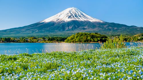 1-day tour from Kawaguchiko to Tokyo (one-way) to Mount Fuji