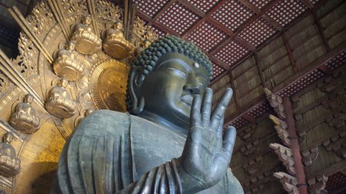 1-day tour to Kyoto, Nara and Uji – Nara Park, Byodoin Temple