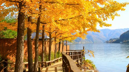 Mt. Seoraksan National Park + Nami Island One Day Tour – Depart From Seoul • Natural Breathtaking View