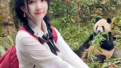 Panda Valley