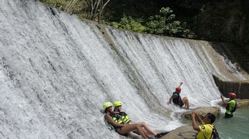 1-day tour to Kawasan Falls canyoneering and Moalboal sardine run in Cebu, Philippines
