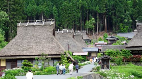Explore Kyoto's Amanohashidate + Ine Fishing Village + Kayabuki No Sato Day Tour [Three Hidden Scenic Spots] Day Tours