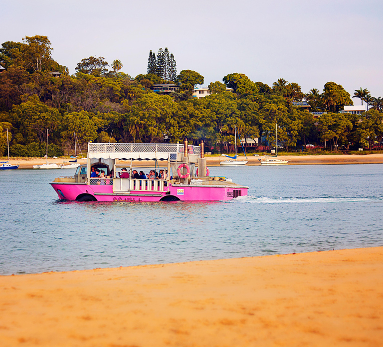 Town 1770: Afternoon Coastline Tour