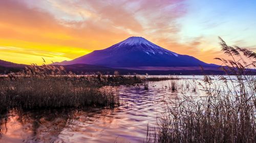 Japan Tokyo Mt. Fuji Lake Kawaguchi & Yamanakako & Lawson/Hikkawa one-day tour|Internet celebrity panoramic check-in Day Tours