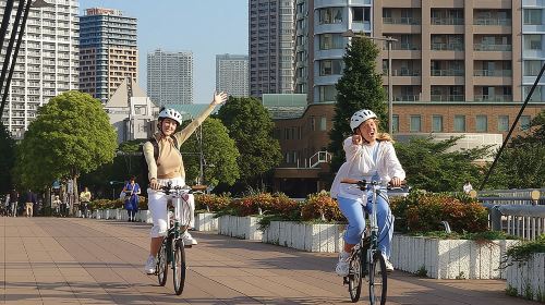 3-Hour Tokyo Private E-Bike Tour Starting from Your Hotel Day Tours