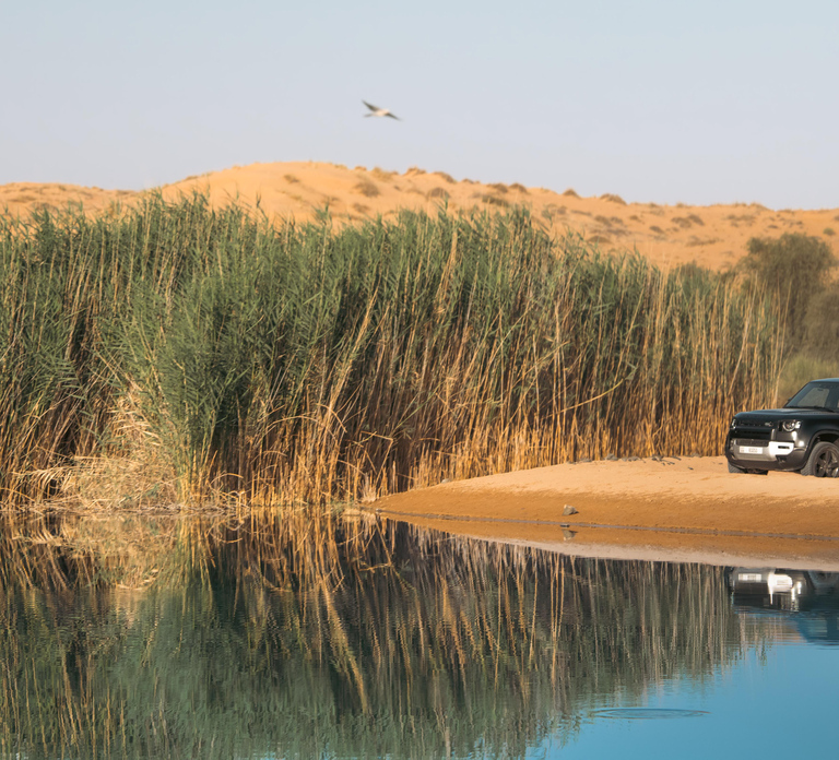 Dubai: Luxury Safari with Michelin-Curated 4-Course Dinner